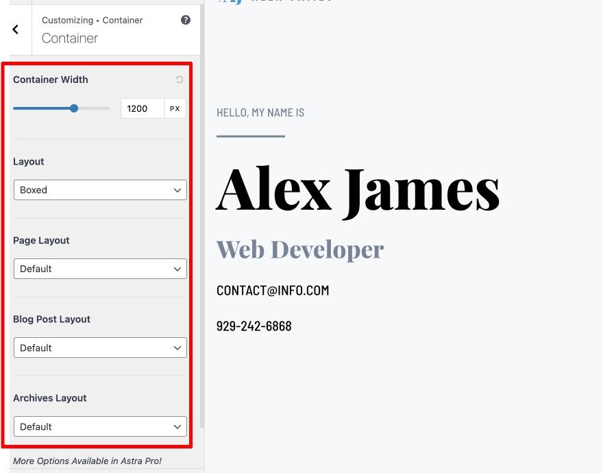 Customize Site Layout With Layout Option