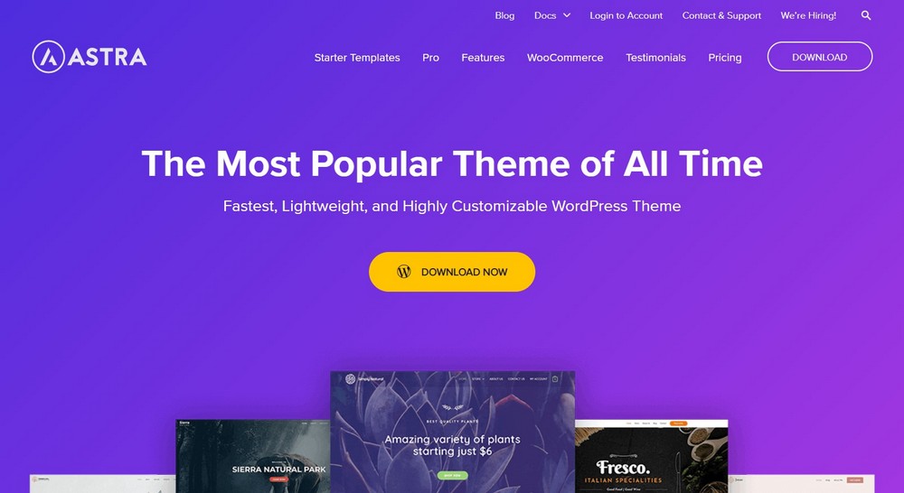 Thème WordPress polyvalent Astra