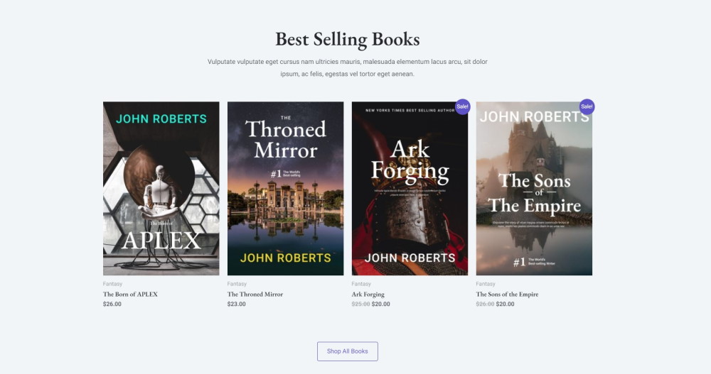 Astra theme template Book store 